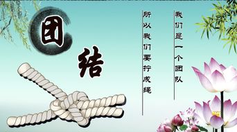 词语团结前面什么_词语团结精神_关于团结的词语