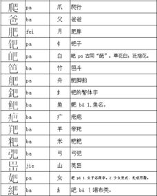 能的部首是什么叫什么