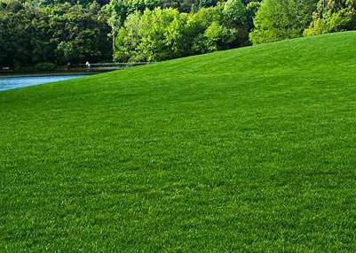 绿怎么组词 :草绿,绿豆,绿灯,绿化,绿色,碧绿,嫩绿,葱绿,翠绿,绿萍