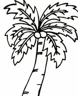 树该怎么画好看