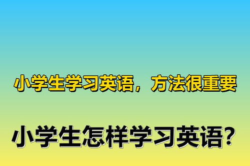 学生的英文怎么读