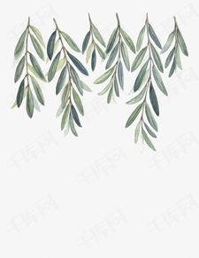 柳叶简笔画柳叶简笔画简单又好看