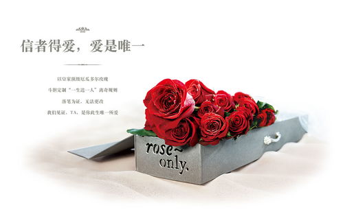 roseonly什么意思?