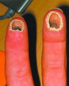 空空指空空指图片吓人