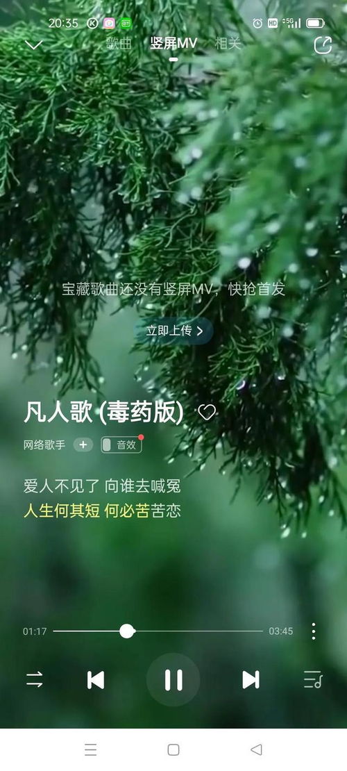 爱过的人我已不再拥有是什么歌歌词爱过的人我已不再拥有是什么歌