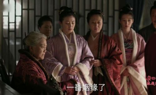 卫老卫老淑容