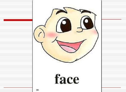 脸英语怎么读音