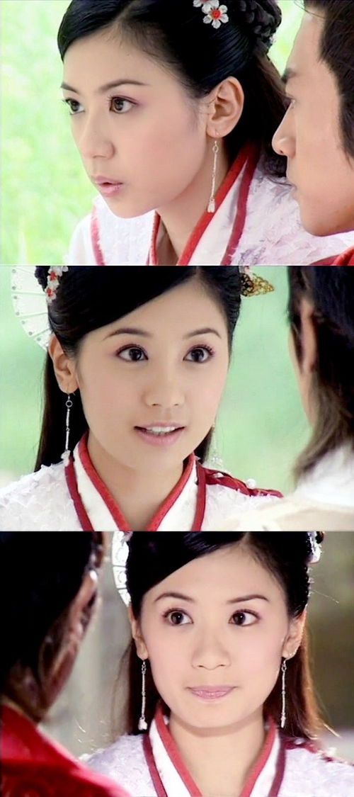 《大汉天子》《同在屋檐下》《至尊红颜》《布衣天子》《超人气学校》