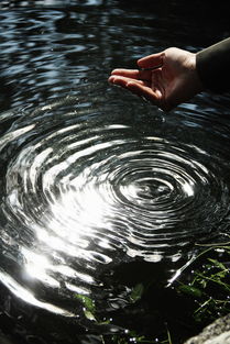 在默默里算着,八千多的日子已经从我手中溜去;像针尖上