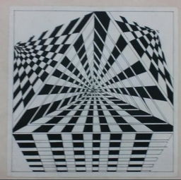 平面构成线条作业?