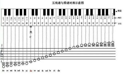 小字二组五线谱的位置图片