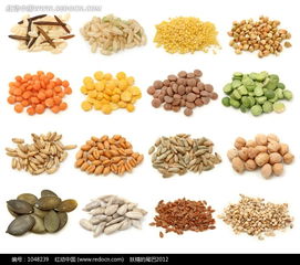 各种各样的种子图片各种各样的种子图片儿童简笔画