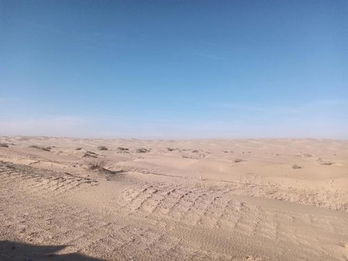 荒凉 [bleak and desolate;barren;wild] 荒芜冷落.