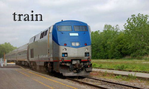 train是什么意思train是什么意思英语