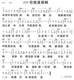 歌词.什么啊哈～风雨中?