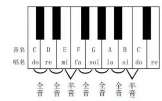 音阶1234567对应的音名是什么?