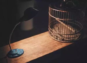 九曲连环的意思九曲连环的意思解释