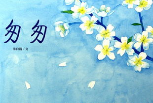 头涔涔和泪潸潸是什么意思?