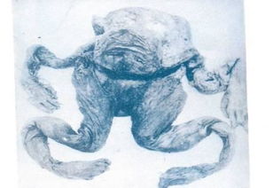 泥炭鞣尸泥炭鞣尸伊蒂女郎