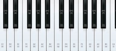 14键电子琴手指图图片