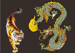 龙什么虎什么成语龙什么虎什么成语形容武松
