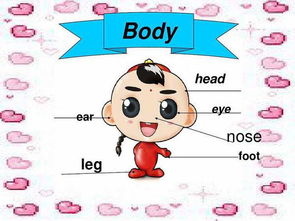 nose怎么读音nose怎么读音英语