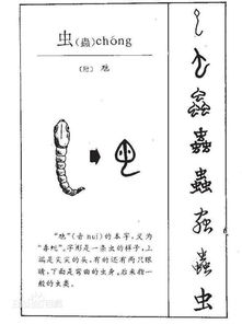 虫字旁