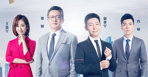 央视主持人名单大全男央视主持人名单大全男的照片