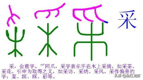 会意字有哪些会意字有哪些并解释