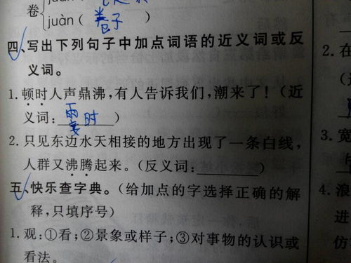 沸腾的反义词沸腾的反义词是什么词