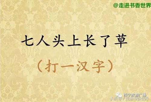 七人头上长了草打一字七人头上长了草打一字谜