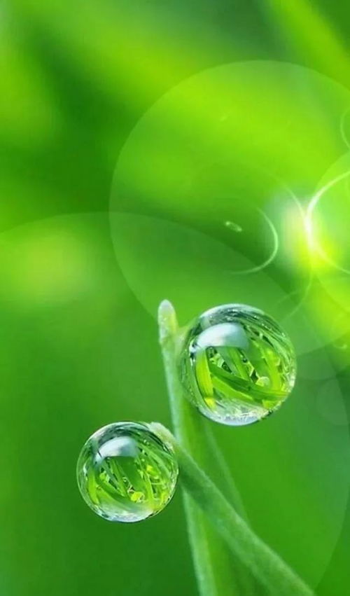 要好看的···而且保护眼睛的····蓝色桌面背景,对视力没有太大