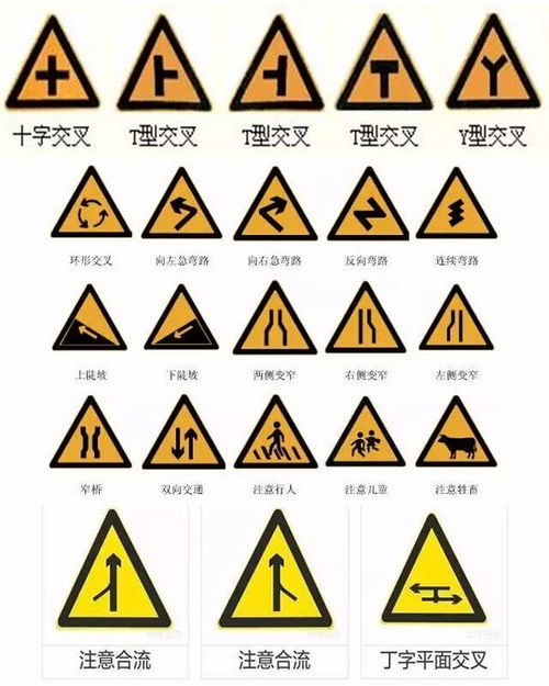 17种交通标线图片
