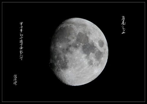 我们代表月亮消灭一切居心不良的乐手小组,比较著名的事件,就是李bb自