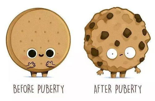 圆形毕露的意思