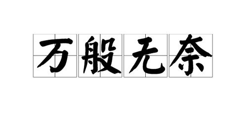 无可奈何什么意思