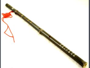 笛子和箫的区别笛子和箫的区别哪个好学