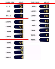 消防员肩章级别图消防员肩章级别图解解析