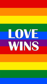 lovewinslovewins是什么意思