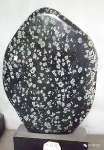 菊花石是是什么石头?