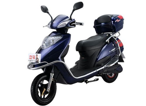 立马电动车立马电动车价格一览表