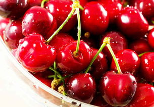 樱桃短语_竞价网