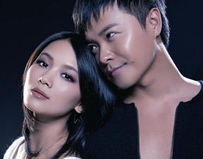 陈思诚的老婆陈思诚的老婆叫什么名字