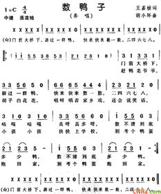 数鸭子歌词数鸭子歌词简谱