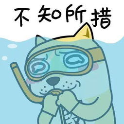 不知所措是什么意思不知所措是什么意思解释