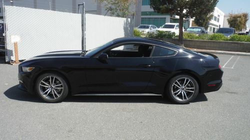 福特野马官网中国福特野马mache官网