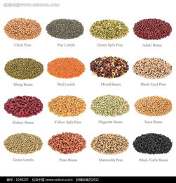 各种各样的种子图片各种各样的种子图片儿童简笔画