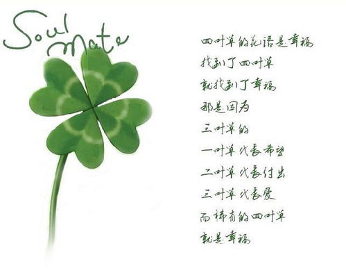 四叶草的花语四叶草的花语和寓意