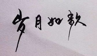 时光荏苒意思是时间一点一点地流逝,不知不觉中便稍纵即逝,犹如白驹过