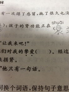 聚拢的近义词是什么